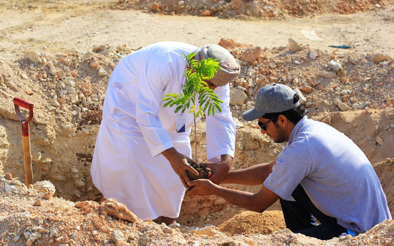 الدقم تواصل مشروع زيادة الرقعة الخضراء بمساندة المجتمع ودعم من القطاعين العام والخاص