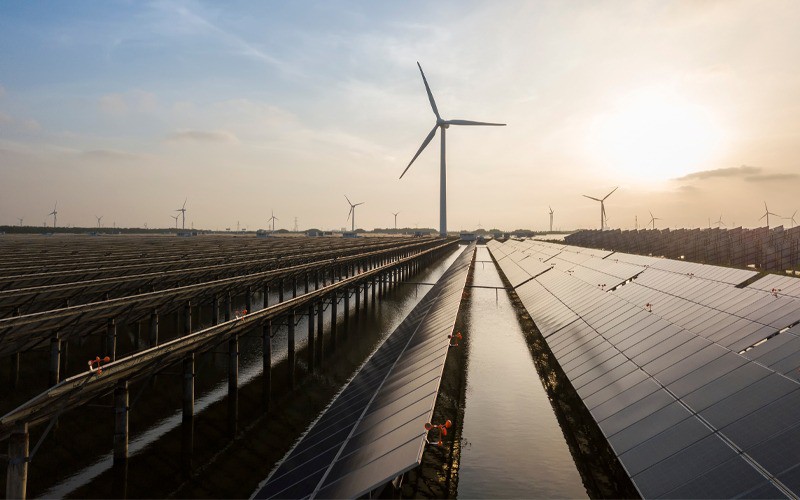 International companies express interest to invest in green hydrogen projects in the economic and free zones